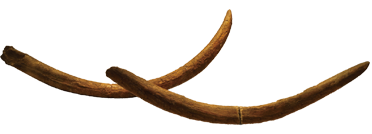 文物5